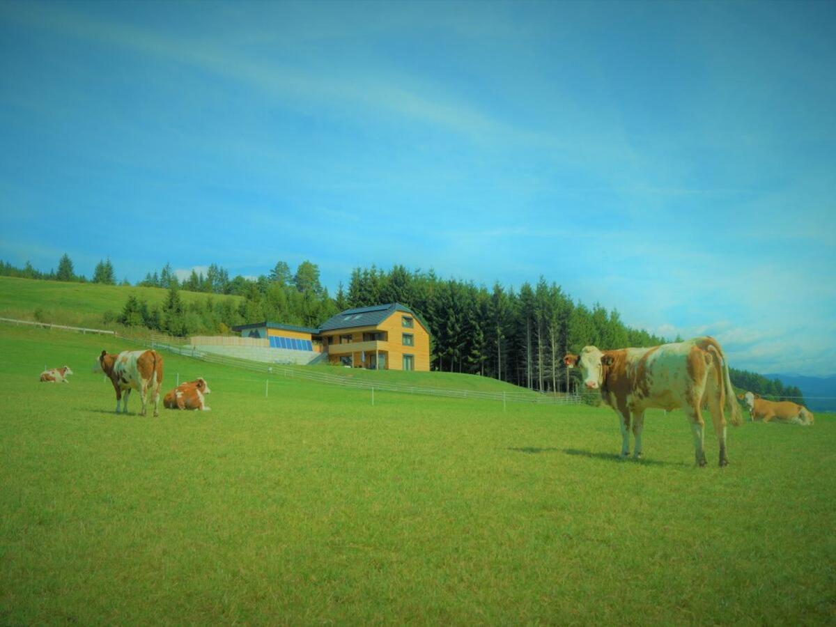 Chalet Traumblick Mauterndorf  Exterior photo